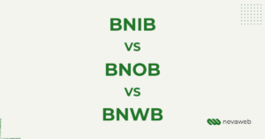 BNIB vs BNWB vs BNWB